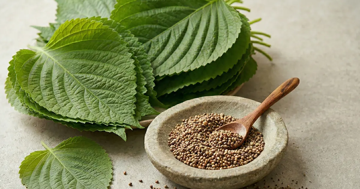 A stack of fresh green serrated perilla leaves next to a stone bowl filled with small brown perilla seeds and a wooden spoon on a neutral background.