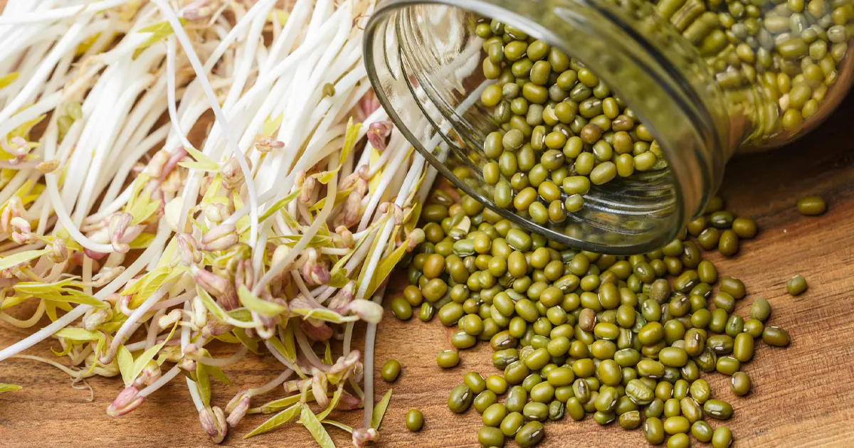 Green mung beans spilling from a glass jar next to fresh white and yellow sprouts on a wooden surface.