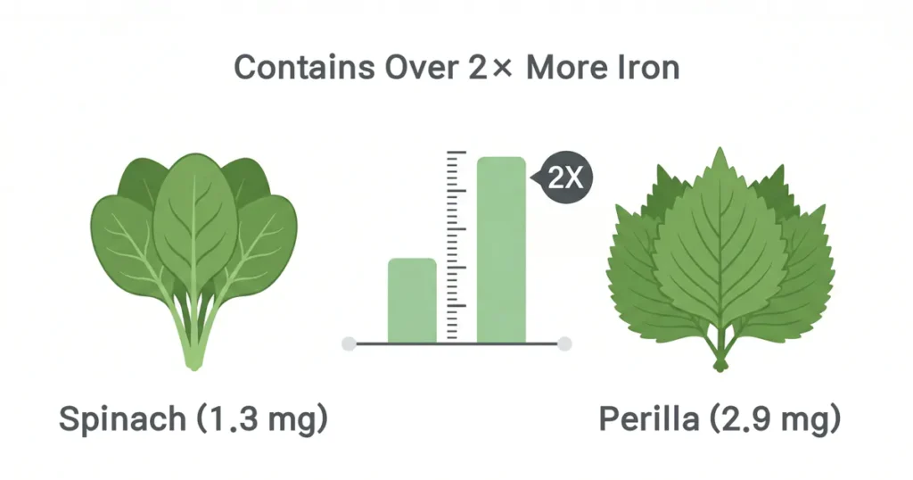 An infographic showing a bar graph comparing 1.3 mg of iron in spinach to 2.9 mg of iron in perilla leaves with a 2x multiplier icon.