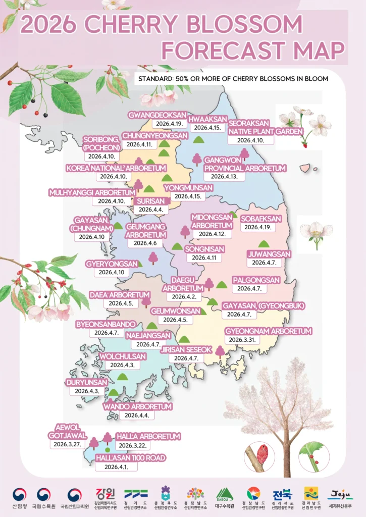 A colorful digital map of South Korea illustrating the 2026 cherry blossom peak bloom dates for various regions and forests with floral icons.